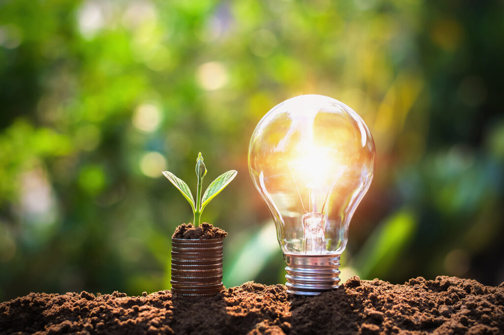 light bulb on soil with young plant growing on money stack. savi